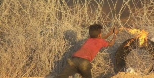 Gaza Children Trained as Terrorists